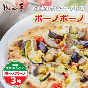 【ふるさと納税】【3枚】南河内野菜たっぷりのボーノボーノピッツァ【配送不可地域:離島】【1531971】