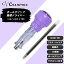 【ふるさと納税】チャンピオンツール 差替ドライバー (+2/-6.0)×100 プラス・マイナス兼用 DK-96【配送不可地域:沖縄県】【1589490】