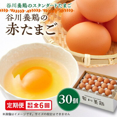 【ふるさと納税】【毎月定期便】計180個【生みたて濃厚】谷川養鶏の赤たまご30ヶ入り(※サイズ指定できません)全6回【配送不可地域：離島】【4092210】