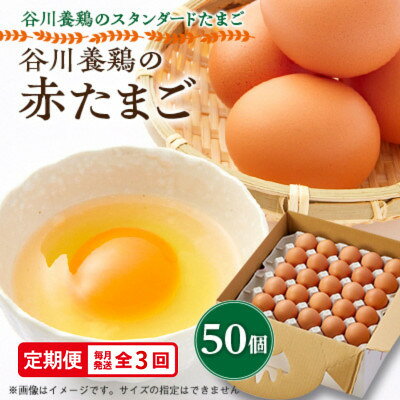 【ふるさと納税】【毎月定期便】計150個【生みたて濃厚】谷川養鶏の赤たまご50ヶ入り(※サイズ指定できません)全3回【配送不可地域：離島】【4092214】
