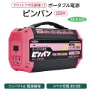 【ふるさと納税】ポータブル電源ピンバン｜250W 100V 正弦波インバーター アウトドア 車中泊 DIY キャンプ ソロキャンプ BBQ 屋外作業 熱中症対策 防災 災害 防災対策 ポータブル 持ち運び 工事不要 太陽光発電 ソーラー 0367