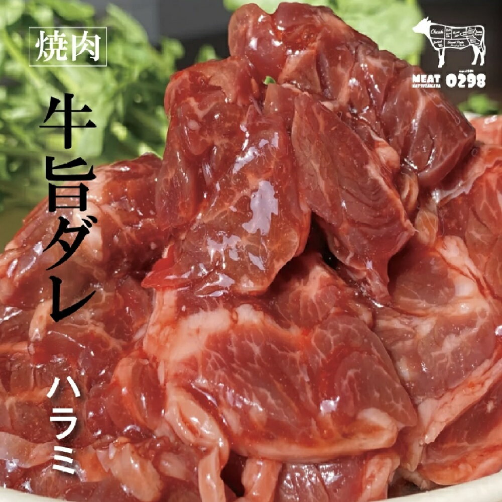 【ふるさと納税】[お肉屋さんオリジナル] 自家製ハラミダレ 