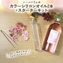 【ふるさと納税】ハーバリウム用カラーシリコンオイル2本+スターターキット|ドライフラワー ガラス瓶 インテリア 趣味 DIY 自主制作 自由研究 アート デザイ...
