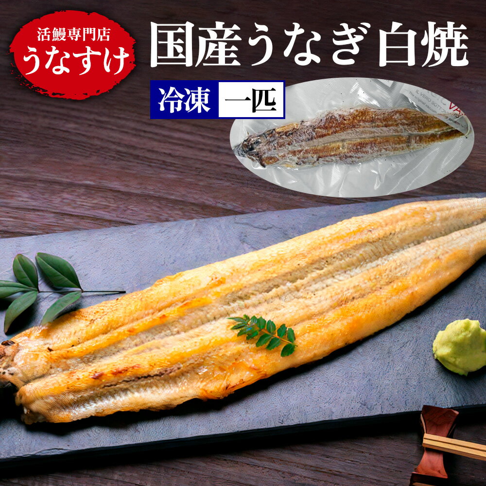 【ふるさと納税】[冷凍] 国産うなぎ 白焼 (1匹) [0867]