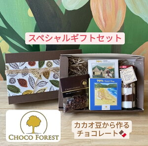 【ふるさと納税】[カカオ豆から作る] チョコレート専門店「CHOCO FOREST」スぺシャルギフト...