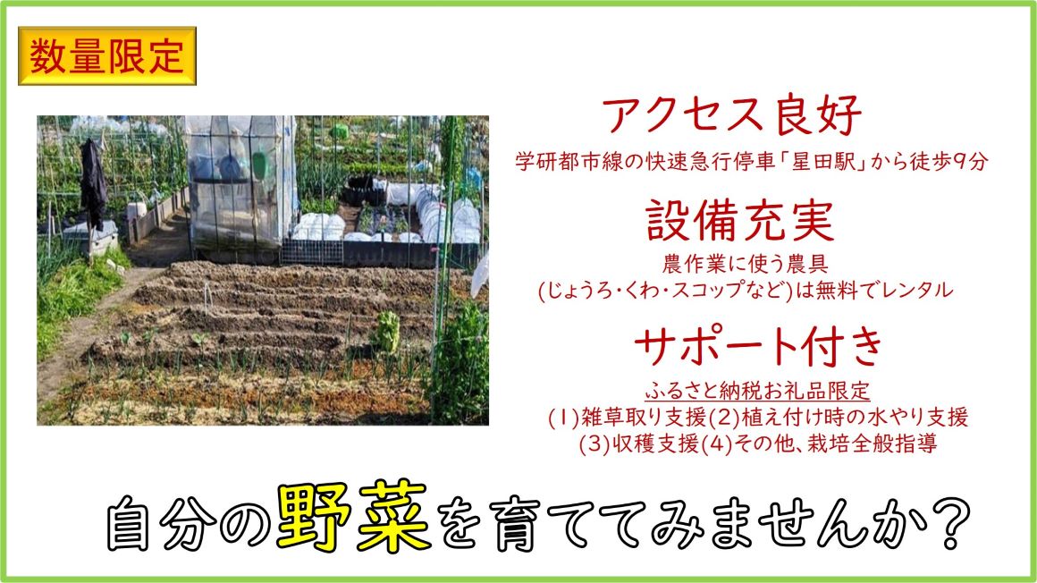 【ふるさと納税】寝屋川農園「びお・やちゃい村」貸区画オーナー権 (5坪・6か間)｜貸し農園 家庭菜園 自家栽培 収穫体験 農業体験 果物 野菜 数量限定 大阪府 寝屋川市 [0024] 2