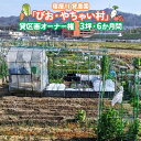 【ふるさと納税】寝屋川農園「びお・やちゃい村」貸区画オーナー権 (3坪・6か月間)｜貸し農園 家庭菜園 自家栽培 収穫体験 農業体験 果..