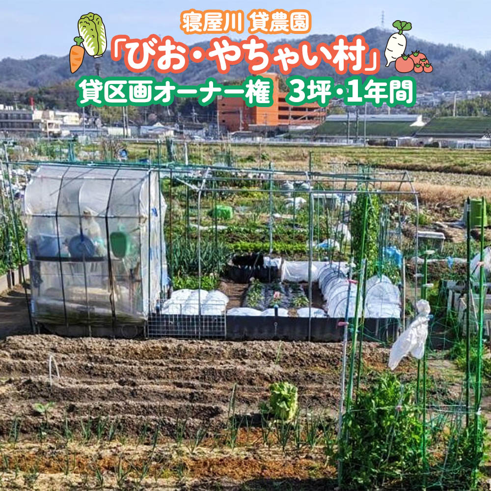 楽天大阪府寝屋川市【ふるさと納税】寝屋川農園「びお・やちゃい村」貸区画オーナー権 （3坪・1年間）｜貸し農園 家庭菜園 自家栽培 収穫体験 農業体験 果物 野菜 数量限定 大阪府 寝屋川市[0023]