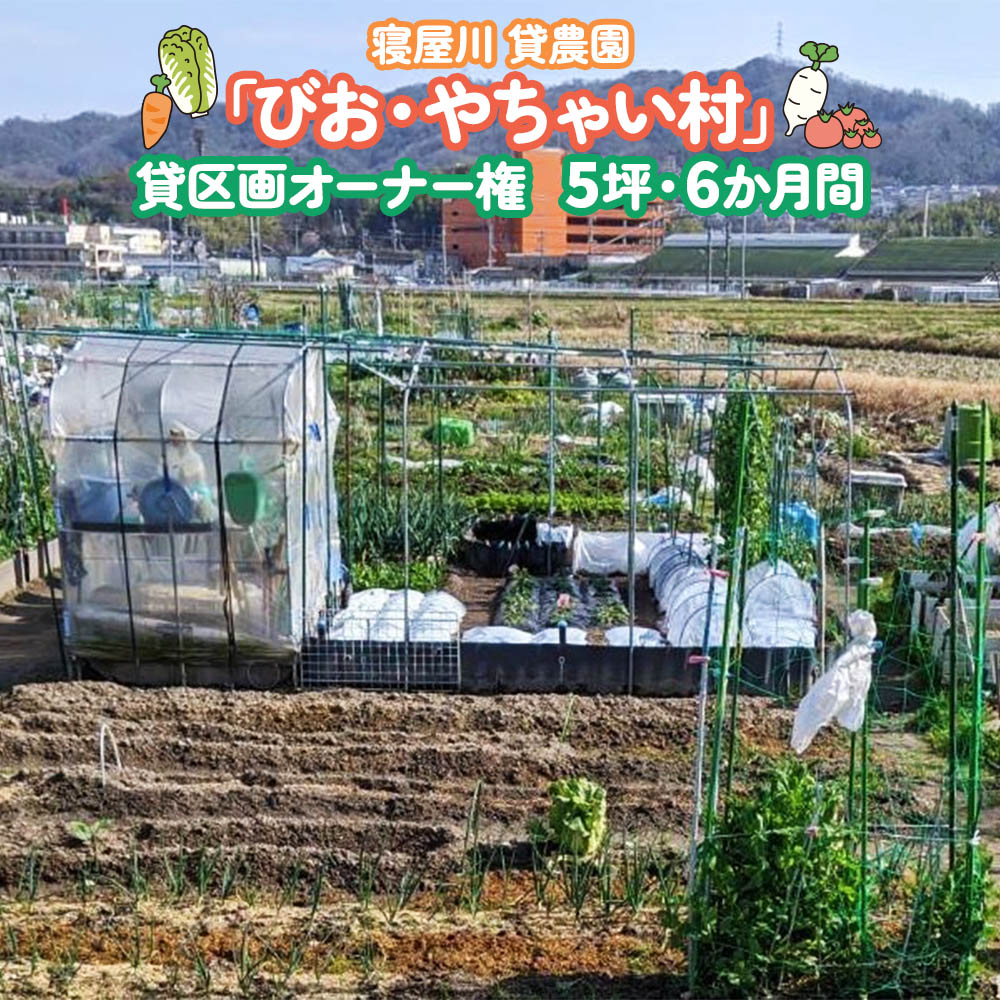 楽天大阪府寝屋川市【ふるさと納税】寝屋川農園「びお・やちゃい村」貸区画オーナー権 （5坪・6か間）｜貸し農園 家庭菜園 自家栽培 収穫体験 農業体験 果物 野菜 数量限定 大阪府 寝屋川市 [0024]