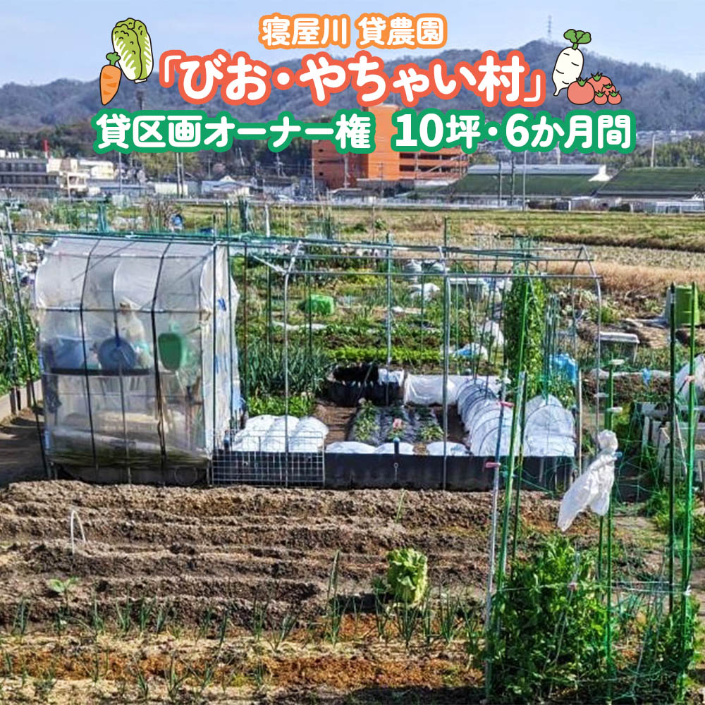 【ふるさと納税】寝屋川農園 びお・やちゃい村 貸区画オーナー権 10坪・6か月間 ｜貸し農園 家庭菜園 自家栽培 収穫体験 農業体験 果物 野菜 数量限定 大阪府 寝屋川市 [0026]