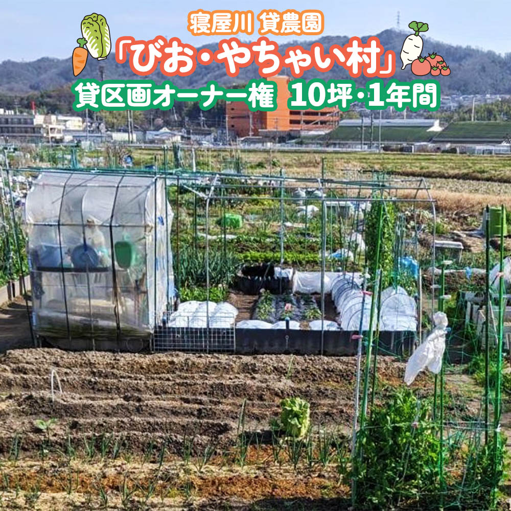 寝屋川農園「びお・やちゃい村」貸区画オーナー権 (10坪・1年間)｜貸し農園 家庭菜園 自家栽培 収穫体験 農業体験 果物 野菜 数量限定 大阪府 寝屋川市 [0027]