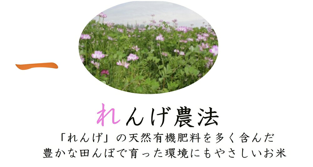 【ふるさと納税】しあわせのれんげっ娘 10kg (精米)｜米 お米 ごはん ご飯 [1200] f272159-neyagawa-10000553 大阪府寝屋川市 サンプル画像2