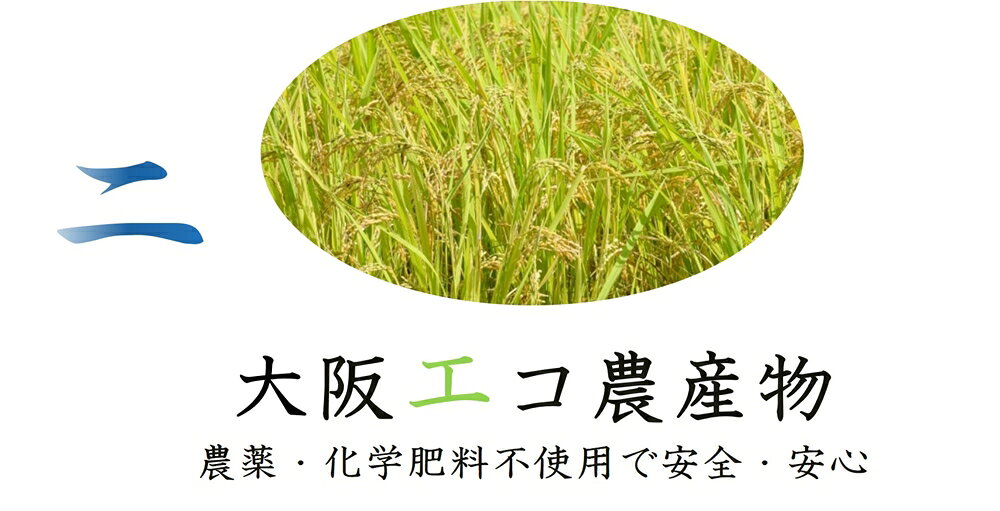 【ふるさと納税】しあわせのれんげっ娘 10kg (精米)｜米 お米 ごはん ご飯 [1200] f272159-neyagawa-10000553 大阪府寝屋川市 サンプル画像3