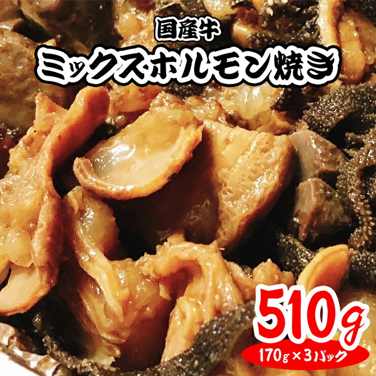 [チンするだけ!][秘伝のタレ漬け]国産牛ミックスホルモン焼き510g(170g×3パック)[鮮度を保つCAS冷凍]|味付け肉 加工品 お惣菜 おかず おつまみ 冷凍 簡単調理 小分け キャンプ パーティー 宅のみ 宅飲み [0574]