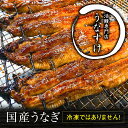 国産うなぎ蒲焼き (5匹) 大阪の名店「活鰻専門店うなすけ」が、産地直送の新鮮な鰻を朝にさばき、炭火でじっくり丁寧に焼き上げました。 鰻を極めた店主が、腕によりをかけて仕上げた「地焼き」の鰻は、歯応え、香ばしさ共に文句なしの逸品！焼きたての美味しさを保つため、発送方法にもこだわりました。 焼き上がった鰻は竹皮で包み、冷凍せずクール便で発送。 こうすることで、柔らかさの中にも歯応えがある「地焼き」ならではの風味を存分にご堪能いただけます。 鰻一筋35年の専門店だからこそ提供できる、洗練された味わいをご家庭でもお楽しみください。 【お召し上がり方】 ◆グリルなどで温めてお召し上がりください。 添付のタレをうなぎの表面に塗り、グリルなどで炙ると香ばしさが増し、より一層おいしくお召し上がりいただけます。 (※おいしい温め方については同封の説明書もご覧ください) 【生産者の声】 炭火でじっくり丁寧に焼き上げた、こだわりの関西風『地焼き』の鰻です。 歯応えと香ばしさが際立つ地焼きの美味しさを、全国のみなさまにお届けしたく、日々精進しております。 ぜひ一度、ご賞味ください。 ■寝屋川市で行っている製造加工工程：原材料の仕入れ、うなぎの加工 (職人によるうなぎの下処理 (捌き)、串うち、素焼き、蒸し、本焼き)、製品化 【注意事項／その他】 ※画像はイメージです。 ■賞味期限 いずれも出荷日より4日 ■原材料・成分 鰻(国内産)、醤油、砂糖、酒、山椒 ■容量 国産うなぎ蒲焼き(1匹180g〜200g)×5匹 タレ(17g)×5袋 山椒(0.2g)×5袋 温め方説明書×1 ■加工地 うなぎ蒲焼き：大阪府寝屋川市 ■配送：冷蔵便 ※近畿2府4県のみのお届けとなります。 ※お申込状況により遅れる場合があります。 ※こちらの返礼品は生もののため、お受け取りいただけない場合はこちらで破棄いたします。再送はできませんので予めご了承下さい。 ■提供事業者 活鰻専門店 うなすけ