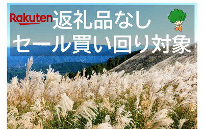 楽天ふるさと納税　【ふるさと納税】【買い回り対象】河内長野市を応援してください！　大阪府河内長野市　応援寄付金　1000円　ふるさと納税（謝礼品なし）