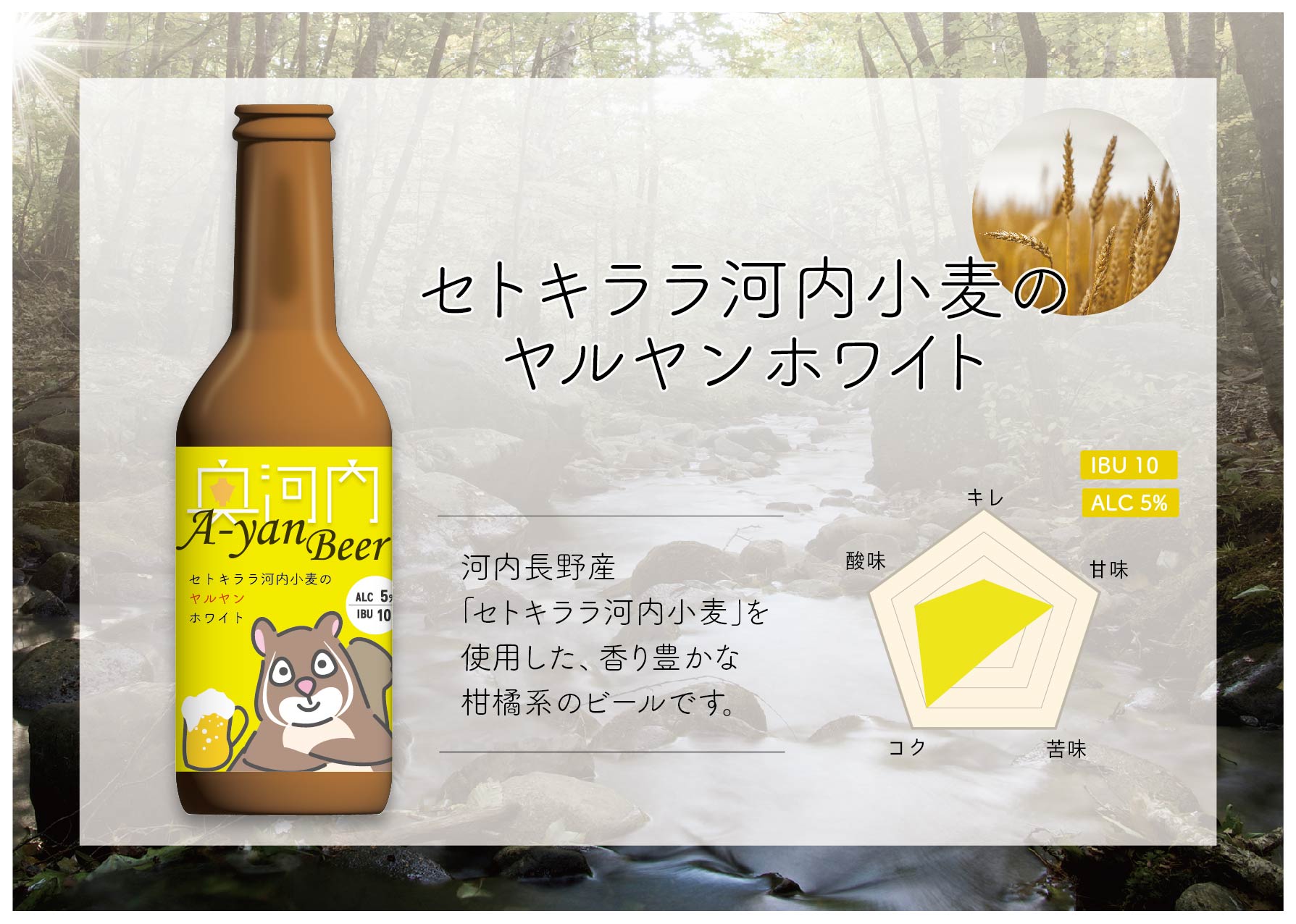 クラフトビール セトキララ河内小麦のヤルヤンホワイト(販売中、2025年6月30日まで) 3本セット ビール クラフトビール 夏ギフト お土産 手土産