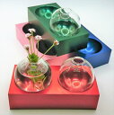 【ふるさと納税】アルミ一輪挿し(二連)おしゃれ お花 フラワーベース 花瓶 シンプル 4色展開