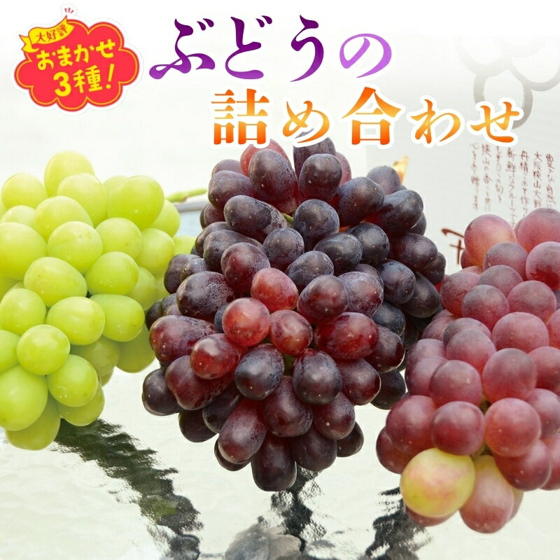 [2026年6月下旬〜順次発送]おまかせオリジナル3種詰め合わせ(皮ごと食べられる品種1房含む)約1.8Kg