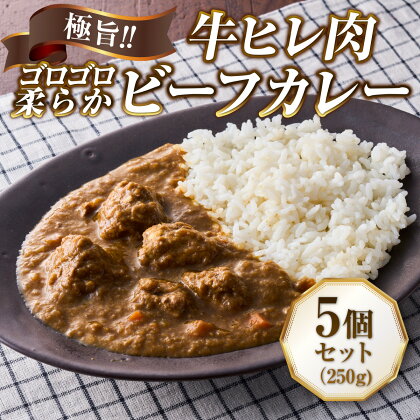 極旨！牛ヒレ肉ゴロゴロ柔らかビーフカレー（250g）5個セット