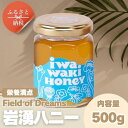 【ふるさと納税】岩湧ハニー 純粋百花はちみつ 500g×1本セット 非加熱 無添加 国産天然はちみつ 大阪府 河内長野市 健康 美容 ギフト ダイエット 百花蜜 健康習慣 健康維持 ビタミン ミネラル 酵素 生活習慣病予防 免疫力 スーパーフード パンケーキ ヨーグルト アサイー