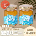 【ふるさと納税】岩湧ハニー 純粋百花はちみつ 160g×2本セット 非加熱 無添加 国産天然はちみつ 大阪府 河内長野市 健康 美容 ギフト ダイエット 百花蜜 健康習慣 健康維持 ビタミン ミネラル 酵素 生活習慣病予防 免疫力 スーパーフード パンケーキ ヨーグルト アサイー