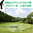 【ふるさと納税】天野山パブリックゴルフ場 平日プレー券 1組4名様 ゴルフ ゴルフ利用券 チケット コース パブリックゴルフ場 送料無料