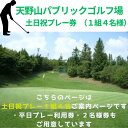 【ふるさと納税】天野山パブリックゴルフ場 土日祝プレー券 1組4名様 ゴルフ ゴルフ利用券 チケット コース パブリックゴルフ場 送料無料