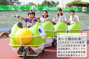 【ふるさと納税】関西サイクルスポーツセンター入場+フリーパスチケット(こどもB)