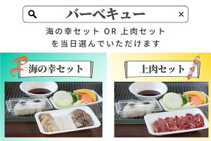 【ふるさと納税】関西サイクルスポーツセンター入場+フリーパスチケット+BBQ(大人)
