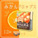【ふるさと納税】みかんドロップス 12個セット 河内長野産みかん果汁使用 大阪産品 果汁みかん オレンジ ミカン おやつ お菓子