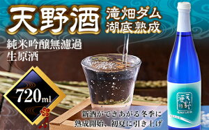 【ふるさと納税】<湖底熟成の日本酒>天野酒 純米吟醸 無濾過 生原酒 日本酒 地酒 お酒 滝畑ダム 湖底熟成 720ml 2024年12月熟成開始 寄附者限定ダムカード付! TV 新聞 熟成酒 父の日 プレゼント 贈り物 お中元 限定 レア 人気の日本酒 レアなお酒 お歳暮 敬老の日 酒