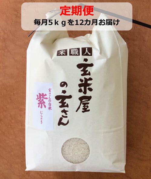 【ふるさと納税】定期便　毎月お届け　玄米屋の玄さんオリジナルブレンド米　紫5kg×12カ月