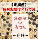 【ふるさと納税】定期便　毎月お届け12ヵ月　雑穀屋の玄さん　オリジナル　雑穀ブレンド（9穀ブレンド）300g