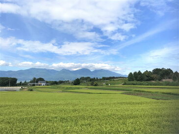【ふるさと納税】30年産 長野県東御市御牧原産コシヒカリ 白米 20kg(生産者 武井 繁剛氏)