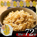 【ふるさと納税】 選べる 個数 生姜プラスもち麦 ごはんパック 160g 18個-72個 生姜 もち麦 米 ごはん ご飯 こめ パックライス パックご飯 パック...