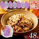 【ふるさと納税】 選べる 容量 回数 十六雑穀 ごはんパック 160g 12個-48個 1回-6回 定期便 パックごはん パックご飯 ごはんパック ご飯パック ...