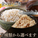 大阪府松原市の画像2