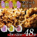 【ふるさと納税】 選べる 個数 雑穀 ごはんパック セット 3種 160g 24個 48個 玄米 十六穀米 発芽玄米 パックごはん パックご飯 ごはんパック ご...