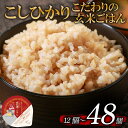 【ふるさと納税】 こしひかり 選べる 回数 玄米ごはんパック 120g 12個-48個 1回-6回 定期便 玄米 米 ごはん ご飯 こめ パックライス パックご...