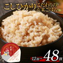 【ふるさと納税】 こしひかり 選べる 回数 玄米ごはんパック 120g 12個-48個 1回-6回 定期便 玄米 米 ごはん ご飯 こめ パックライス パックご飯 パックごはん ご飯パック ごはんパック パック ライス 備蓄 保存 非常 防災 レンジ 温めるだけ 健康 ダイエット 12 24 36 48