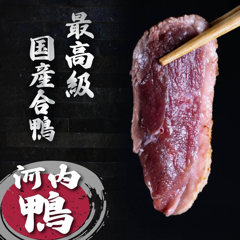 【ふるさと納税】【 期間限定 】河内鴨 鴨肉 ロース ブロック かも 肉 500g 1kg 2kg 合鴨 鍋 鴨そば 国産 鴨 鳥 厳選素材 数量限定 ツムラ 本店 大阪府 松原市