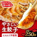 【ふるさと納税】 やさしい生餃子 選べる 容量 25-250個 にんにく 不使用 ヘルシー 冷凍 餃子 ぎょうざ 国産野菜 おから 鶏肉 アボカド ヨーグルト ...