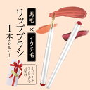 【ふるさと納税】 イタチ×馬毛 発色が良く塗りやすい リップブラシ シルバー 誕生日プレゼント や 母の日にもおすすめ 贈り物 プレゼント 贈答品 記念品 ギフ...