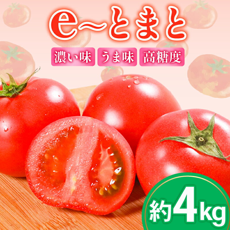 【ふるさと納税】 トマト 約4kg 中玉 高糖度 eトマト フルーツトマト 健康 野菜 サラダ ダイエット スープ e~とまと フルーツ 果物 のような甘さ 低農薬栽培 ビタミンC リコピン とまと トマトジュース 野菜 やさい 新鮮 産地直送 美容 美肌 濃厚 先行予約 大阪府 松原市