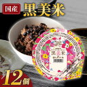 【ふるさと納税】 雑穀 パックごはん 120g×12個 黒美米 パックご飯 ご飯パック パック米 パックライス レトルトご飯 防災 備蓄 常備 雑穀米 黒米 発...