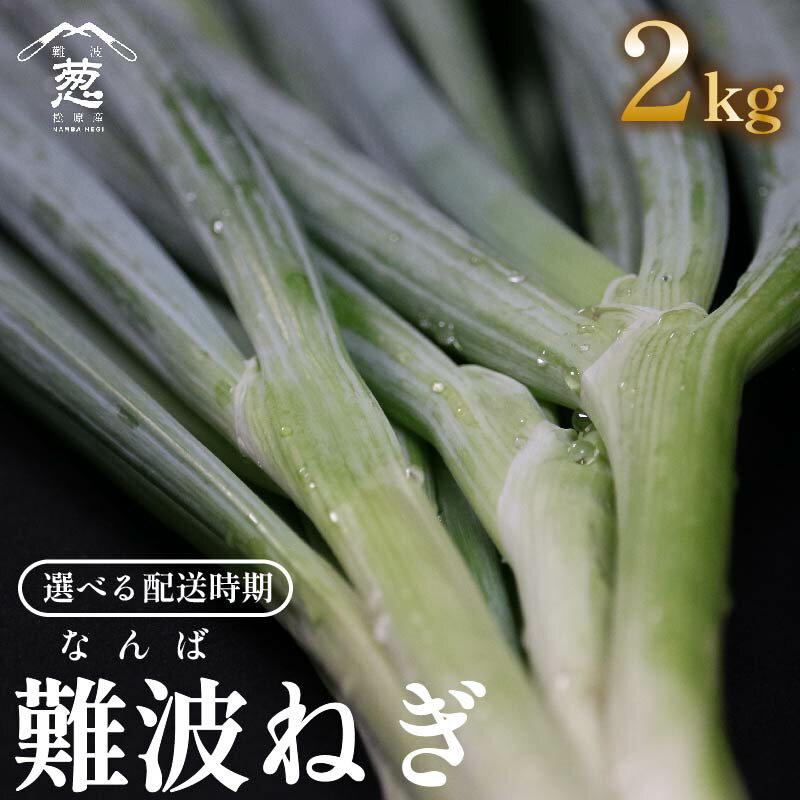 先行予約 難波葱 2kg 年内配送 ねぎ 葱 鍋 青ねぎ 白ねぎ 野菜 旬 やさい 産地直送 採れたて 直送 フルーツ 果物 と同糖度 なにわ 伝統野菜 鍋セット 河内 大阪府 松原市