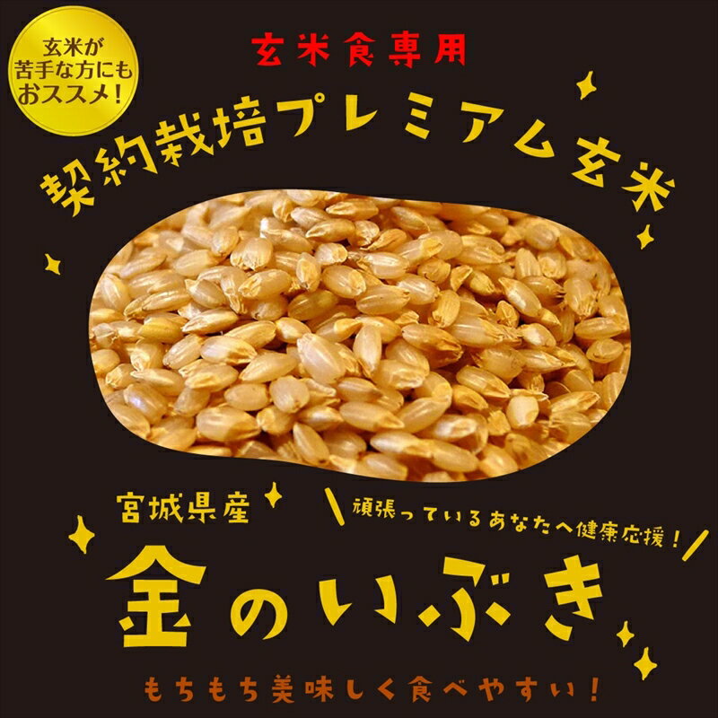 【ふるさと納税】金のいぶきプレミアム玄米ごはん120g×12個【災害 一人暮らし 備蓄 パックごはん パックご飯 ご飯パック パック米 パックライス レトルトご飯 防災 金のいぶきプレミアム 玄米ごはん 大阪府 松原市 】