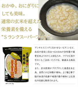 【ふるさと納税】金のいぶきプレミアム玄米ごはん120g×12個【災害 一人暮らし 備蓄 パックごはん パックご飯 ご飯パック パック米 パックライス レトルトご飯 防災 金のいぶきプレミアム 玄米ごはん 大阪府 松原市 】