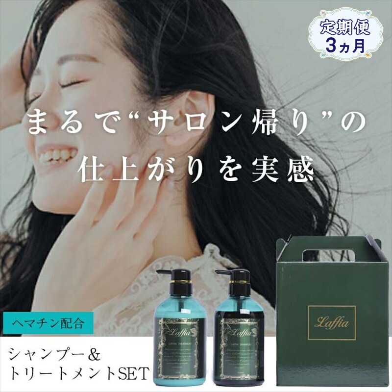 2位! 口コミ数「0件」評価「0」【定期便3ヵ月】シャンプー＆トリートメント 2点セット 500ml ヘマチン ノンシリコン ダメージケア 髪補修 ヘアケア ギフト【ャンプー･･･ 